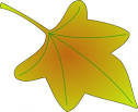 Grape Leaf clip art   Download free Other vectors