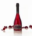 Castello Banfi - About Us : Vineyards
