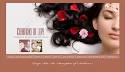 color web design image