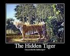 The Hidden Tiger Picture