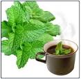 Medindia Blogs» Blog Archive » Health &amp; Nutrition Benefits Of ...