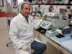 Study Shows How High-Fat Diets Increase Colon Cancer Risk