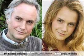 images?q=tbn:ANd9GcQyvVRcIMFyD6FR7kJnuO3A15H0aqEOQXcAGLid9OFy_uHznpFCxA