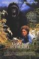 Gorillas in the Mist - Wikipedia, the free encyclopedia