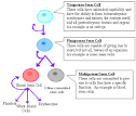Many: <b>Cell Differentiation</b>