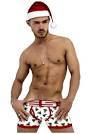 Hombres Sexis Navidad