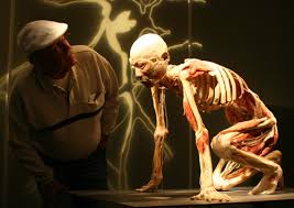\u0026quot;Bodies - The Exhibition\u0026quot; ist der Körperwelten-Klon des amerikanischen Anatomie-Professors Roy Glover, der an der University of Michigan arbeitet.