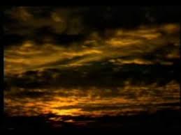 Not Afraid to Die (Pain)