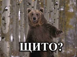 images?q=tbn:ANd9GcQzkiZxSFltyoTmGOxcyv9yLUiHS6IYPV_iSjQew0S1YssrJSRcnQ