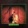 Image The Flaming Lips Picture