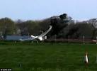 Lonely swan is grounded after he fell in love with a helicopter