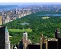 NYC Parking | Central Park > Central Parking