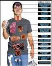How Alcohol Affects The Body and Mind