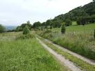 the Wye valley to die for! - via Daymix