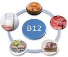 <b>Vitamin B</b>-<b>12</b> is important for