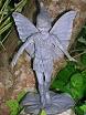 Fairy - Wikipedia, the free encyclopedia
