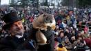 Why do we celebrate Groundhog Day? | MNN - Mother Nature Network