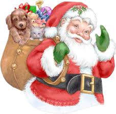 Amis d'un jour amis toujours !!!
