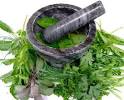 Herbology, Herbalism, Botanical Medicine - Crystalinks
