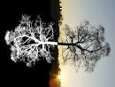 http://info.sagitec.com/Portals/108364/images/1_visible%2520difference.jpg