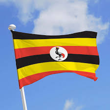 images?q=tbn:ANd9GcR0HvG35jAdTj-_uhmgC2feb73ika8Axm5tKiXJcFzZ4zuMQkZD