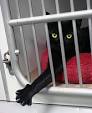 Animal shelter - Wikipedia, the free encyclopedia