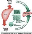 Monitoring Blood Sugar Levels
