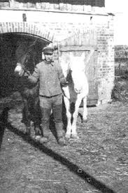 051-0053 Ewald Bischoff mit seinen Pferden 1943.