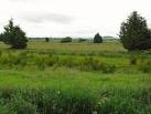R5837 : Boggy land by the - via Daymix