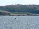 View from the ferry to Barra, over Ardmore bay to the radio station at Meall - via Daymix