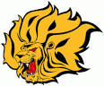 uapb-300x249.gif
