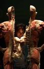 Las Vegas Attraction: BODIES...The Exhibition