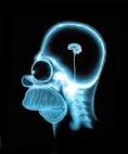 Archivo:Homer <b>radiografia</b>.gif