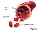 Jehovahs Witnesses - Position Overview | Bloodless Medicine Care Guide