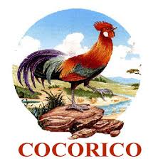 external image images?q=tbn:ANd9GcR0vqhQ4W9UkZGhO4LKCROVxneaADOAWBJMjQAYfR1IAqWAg0U-Yg