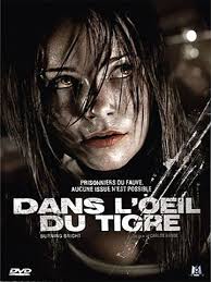 Regarder <{$films.title}> (<{$films.artist}>) en Streaming
