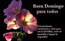 Frases De Feliz Domingo