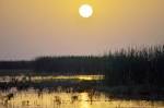 In Cradle of Civilization, Shrinking Rivers Endanger Unique Marsh ...