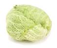 Cook's Thesaurus: Cabbages