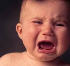 images?q=tbn:ANd9GcR2YqaG7xNaPMM0fGGMTRCX-J53HqxgDk7qFcD6bxbhtNyuyFxe