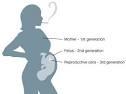 Epigenetics and Inheritance