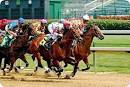 Horse Racing Tips | Horse Racing System | Horse Racing Results