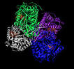 Aldehyde dehydrogenase - Wikipedia, the free encyclopedia