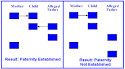 sgugenetics / The application of Molecular phylogeny in the study ...