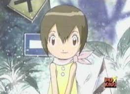 hikari yagami - Digimon Photo (15534231) - Fanpop fanclubs - hikari-yagami-digimon-15534231-320-232