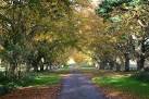 TL8280 : Track to Redneck Farm - via Daymix