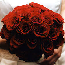 مودى يهدى هذه الورود الى كل من يحب او تحب او لسه بتفكر Images?q=tbn:ANd9GcR4MRmEMQ5hepPGqCjc0AluFd8QX2NoYO02unSgUTaDR70TSqeV