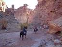 Utah Trail-Riding Vacations, Torrey, Utah Horseback Riding ...
