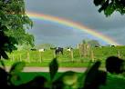 it goes to prove the proverb that cows lie down when it's going to rain! - via Daymix
