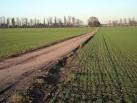 near to Beckbury, Shropshire, Great Britain. Monarch's Way near Ryton - via Daymix